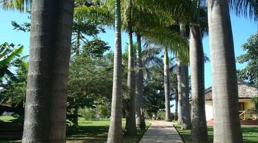 Kilemakyaro Mountain Lodge Moshi Luaran gambar