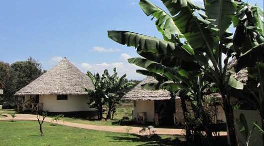 Kilemakyaro Mountain Lodge Moshi Luaran gambar